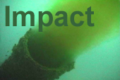 Environmental impacts icon